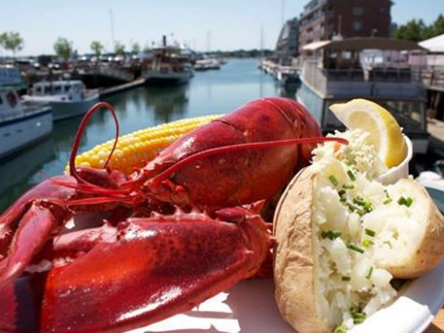 Fresh Lobster Augusta, ME Augusta Seafood Inc